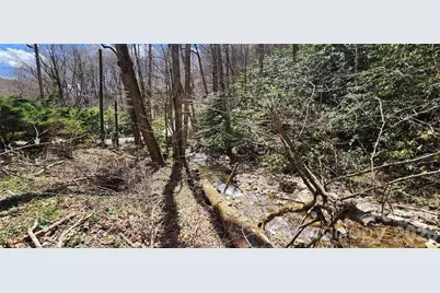 24 Village Lane, Waynesville, NC 28786 - Photo 3