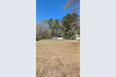 344 County Shed Road, Beaufort, SC 29906 - Photo 5