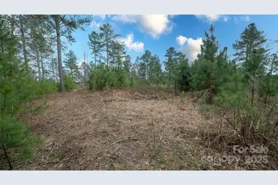 6355 McGalliard Pointe Drive NE #5, Valdese, NC 28690 - Photo 9