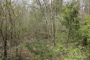 104 Little River Trail, Fort Mill, SC 29707 - Photo 21