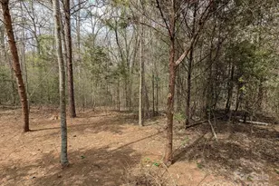 104 Little River Trail, Fort Mill, SC 29707 - Photo 19