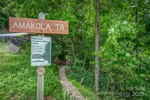 46 Wahuhu Ct, Brevard, NC 28712 - Photo 41