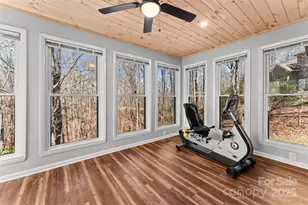 46 Wahuhu Ct, Brevard, NC 28712 - Photo 13