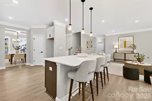 116 Fordingbridge Ln, Mooresville, NC 28115 - Photo 9