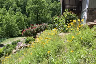 337 Roberson School Rd, Moravian Falls, NC 28654 - Photo 7