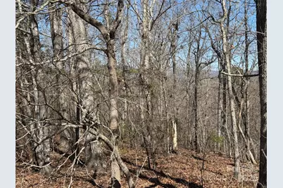 00 Shady Bark Lane, Rutherfordton, NC 28139 - Photo 3