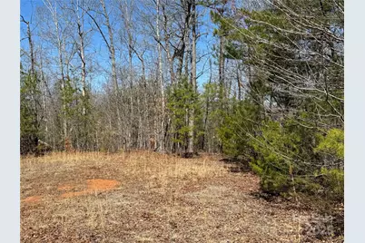 00 Shady Bark Lane, Rutherfordton, NC 28139 - Photo 9