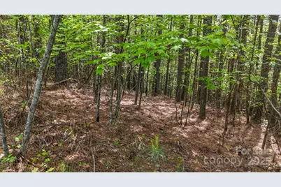 103 W Shortoff Trail NW #113, Valdese, NC 28690 - Photo 11