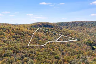 5389 Cascade Lake Rd, Cedar Mountain, NC 28718 - Photo 21