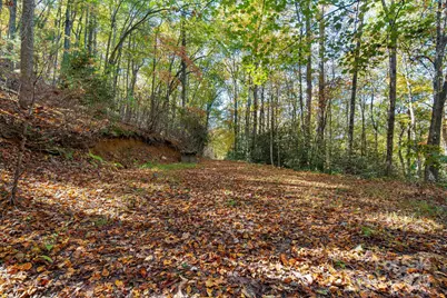 5389 Cascade Lake Road, Cedar Mountain, NC 28718 - Photo 9