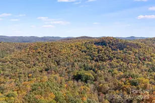 5389 Cascade Lake Rd, Cedar Mountain, NC 28718 - Photo 25