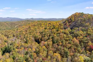 5389 Cascade Lake Rd, Cedar Mountain, NC 28718 - Photo 27