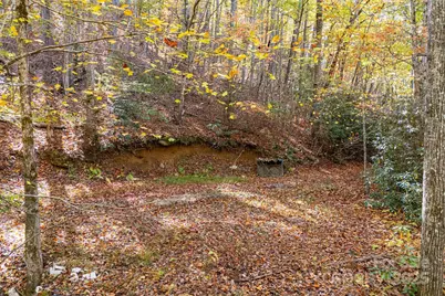 5389 Cascade Lake Road, Cedar Mountain, NC 28718 - Photo 7