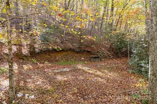 5389 Cascade Lake Rd, Cedar Mountain, NC 28718 - Photo 7