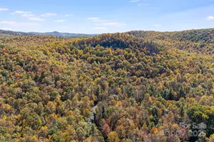 5389 Cascade Lake Rd, Cedar Mountain, NC 28718 - Photo 23