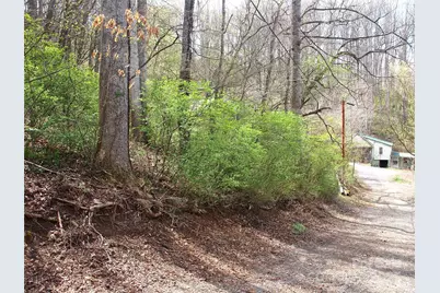 00 Bob Wood Drive, Canton, NC 28716 - Photo 13