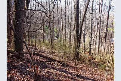 00 Bob Wood Drive, Canton, NC 28716 - Photo 11