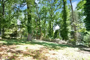 3612 Winterfield Pl, Charlotte, NC 28205 - Photo 43