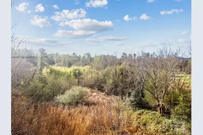 425 Nelson Valley Lane, Hendersonville, NC 28739 - Photo 7