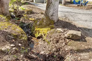 21 Susan Dr, Maggie Valley, NC 28751 - Photo 3