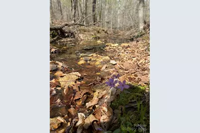 0 Cane Creek Mountain Road, Bostic, NC 28018 - Photo 9