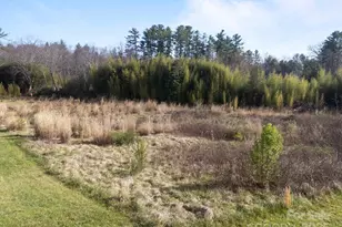 193 Montevilla Dr, Hendersonville, NC 28739 - Photo 9