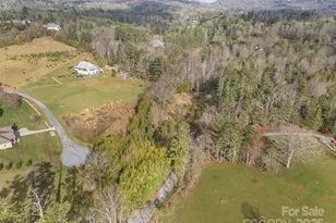 425 Nelson Valley Ln, Hendersonville, NC 28739 - Photo 11