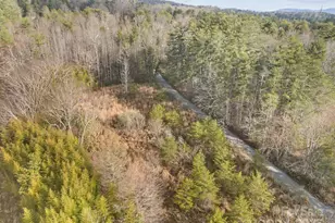 425 Nelson Valley Ln, Hendersonville, NC 28739 - Photo 13