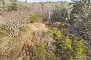 425 Nelson Valley Ln, Hendersonville, NC 28739 - Photo 17