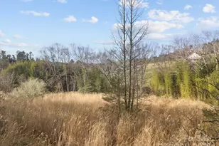 425 Nelson Valley Ln, Hendersonville, NC 28739 - Photo 5