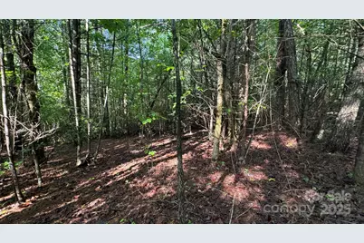 5 Round Mountain Parkway #5, Lenoir, NC 28645 - Photo 15