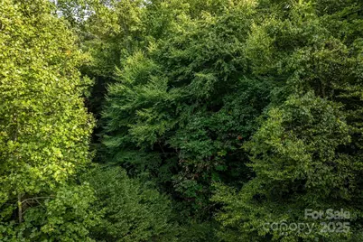5 Round Mountain Parkway #5, Lenoir, NC 28645 - Photo 11