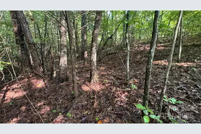 5 Round Mountain Parkway #5, Lenoir, NC 28645 - Photo 17