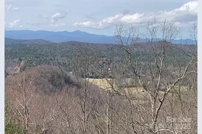 1474 Holiday Drive #14 & 15, Hendersonville, NC 28739 - Photo 27