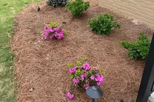 406 Williamson St, Fort Mill, SC 29715 - Photo 7