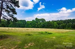 7050 Forney Hill Rd, Denver, NC 28037 - Photo 37