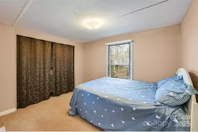 29 Delta Drive, Hendersonville, NC 28792 - Photo 27