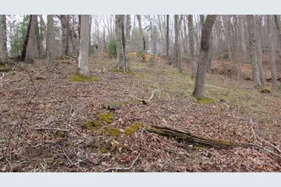 #74 Falling Water Drive, Green Mountain, NC 28740 - Photo 11