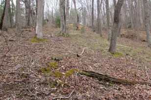 #74 Falling Water Dr, Green Mountain, NC 28740 - Photo 11