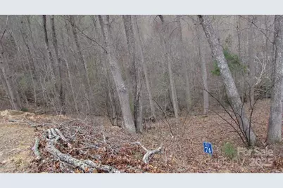 #74 Falling Water Drive, Green Mountain, NC 28740 - Photo 7