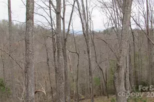 #74 Falling Water Dr, Green Mountain, NC 28740 - Photo 3