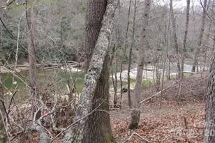 #74 Falling Water Dr, Green Mountain, NC 28740 - Photo 21