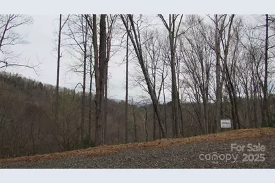 #74 Falling Water Drive, Green Mountain, NC 28740 - Photo 5