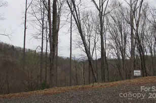 #74 Falling Water Dr, Green Mountain, NC 28740 - Photo 5