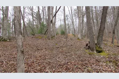 #74 Falling Water Drive, Green Mountain, NC 28740 - Photo 9