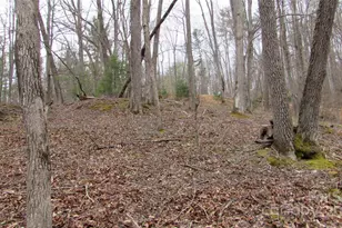 #74 Falling Water Dr, Green Mountain, NC 28740 - Photo 9