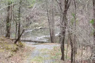 #74 Falling Water Dr, Green Mountain, NC 28740 - Photo 17