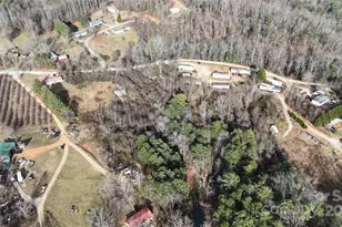 160 & 196 Dudley Dr, Flat Rock, NC 28731 - Photo 7