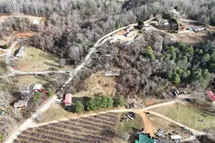 160 & 196 Dudley Dr, Flat Rock, NC 28731 - Photo 5