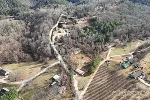 160 & 196 Dudley Dr, Flat Rock, NC 28731 - Photo 9